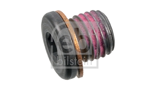 Screw Plug, automatic transmission casing